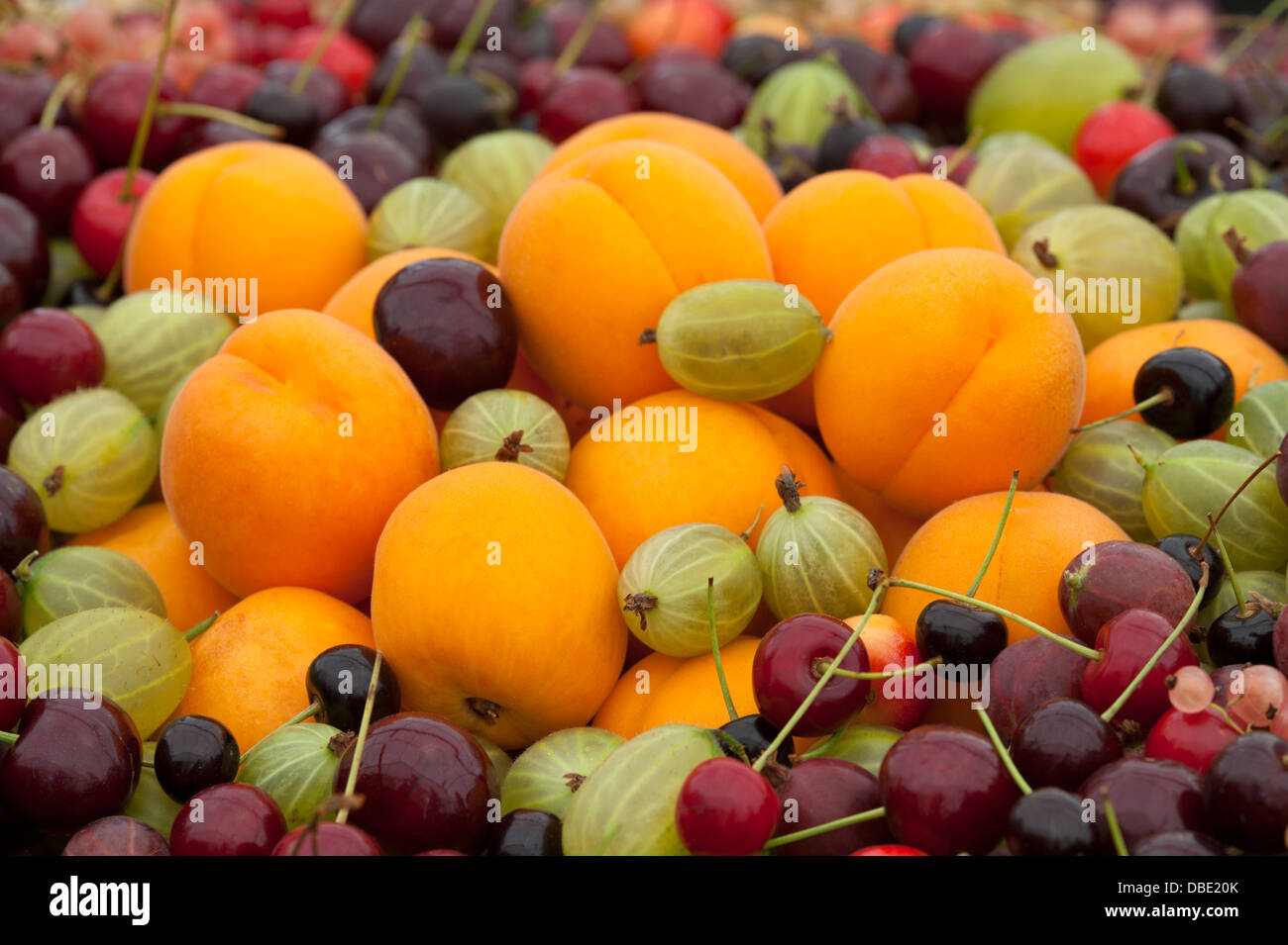 mixed fresh summer fruit including: apricot, gooseberries, and cherries Stock Photo