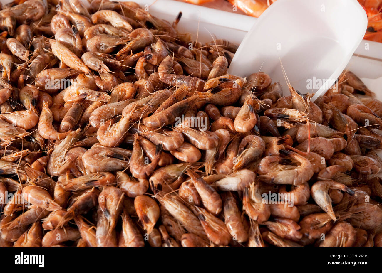 Shrimp prawn seafood hires stock photography and images Alamy
