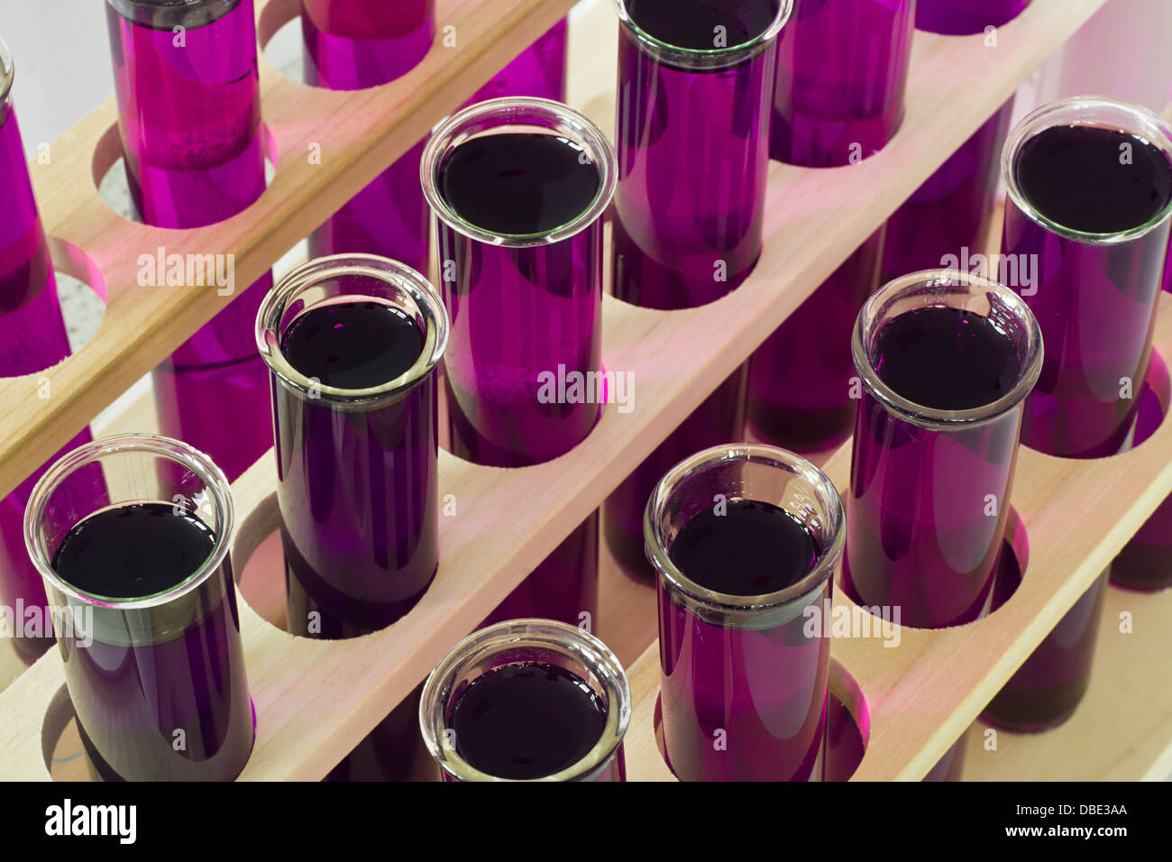 Lines of test tubes arranged in rows with a purple solution inside in a laboratory for medical research Stock Photo