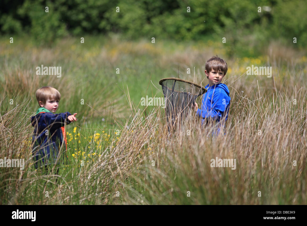Luke & Jake with butterfly net Stock Photo