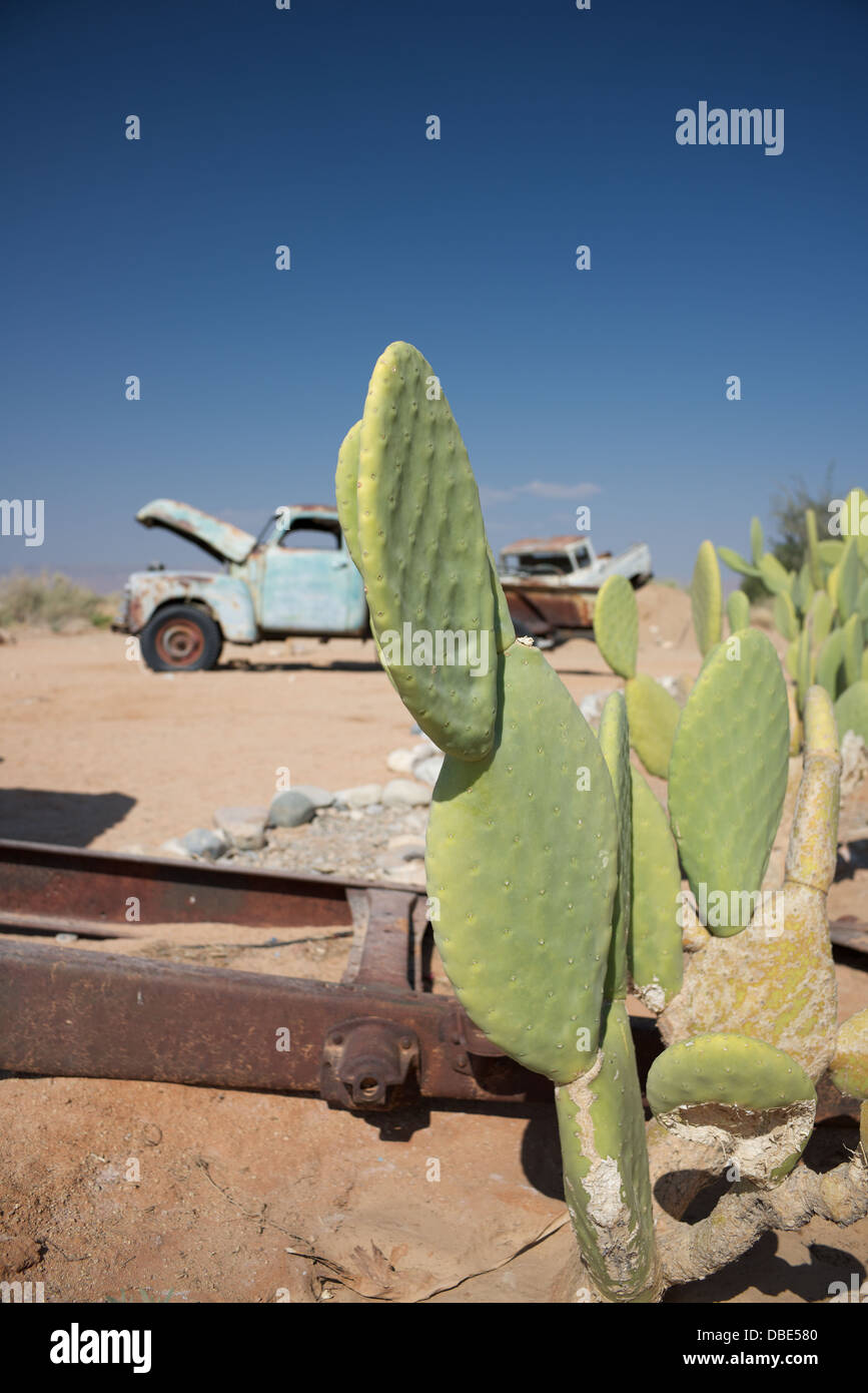 Old vehicles in desert surrounded by cactus Stock Photo