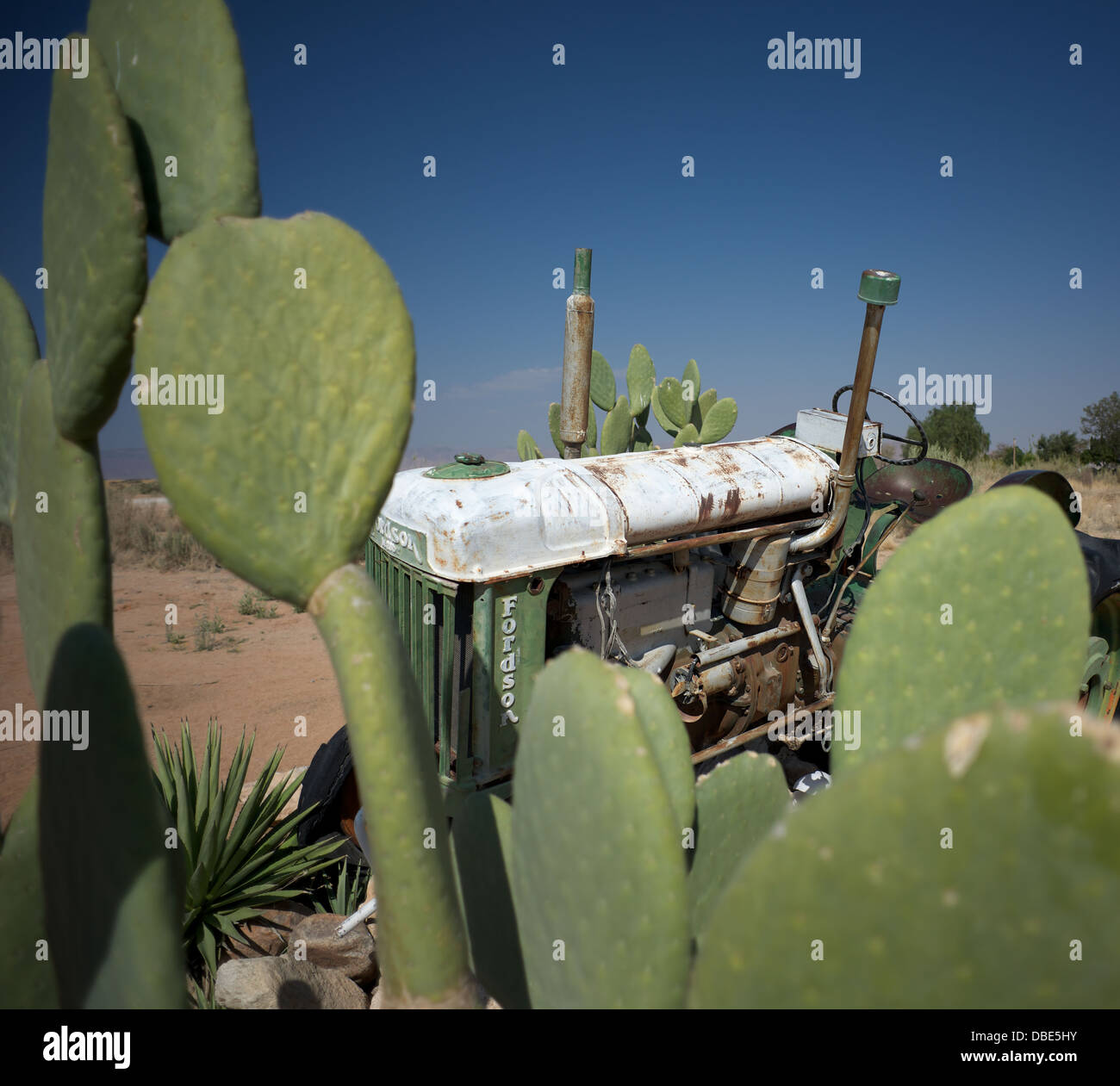 Old vehicles in desert surrounded by cactus Stock Photo