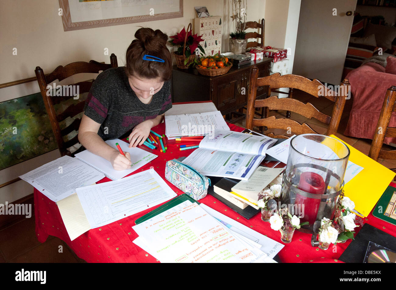 A teenager gets down to revision at home for AS levels Stock Photo
