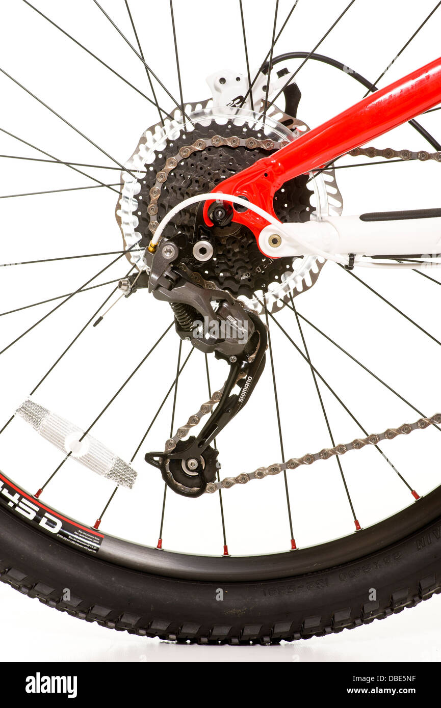 Rear wheel of mountain bike Stock Photo Alamy