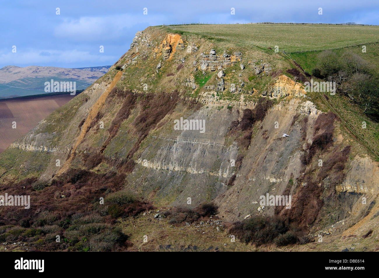 A view of Houns Tout Dorset on the Jurassic Coast UK Stock Photo