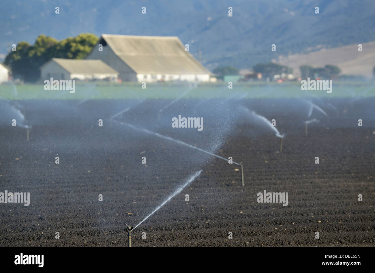Watering crops, farmland with pastoral farmhouse, near Salinas, CA Stock Photo