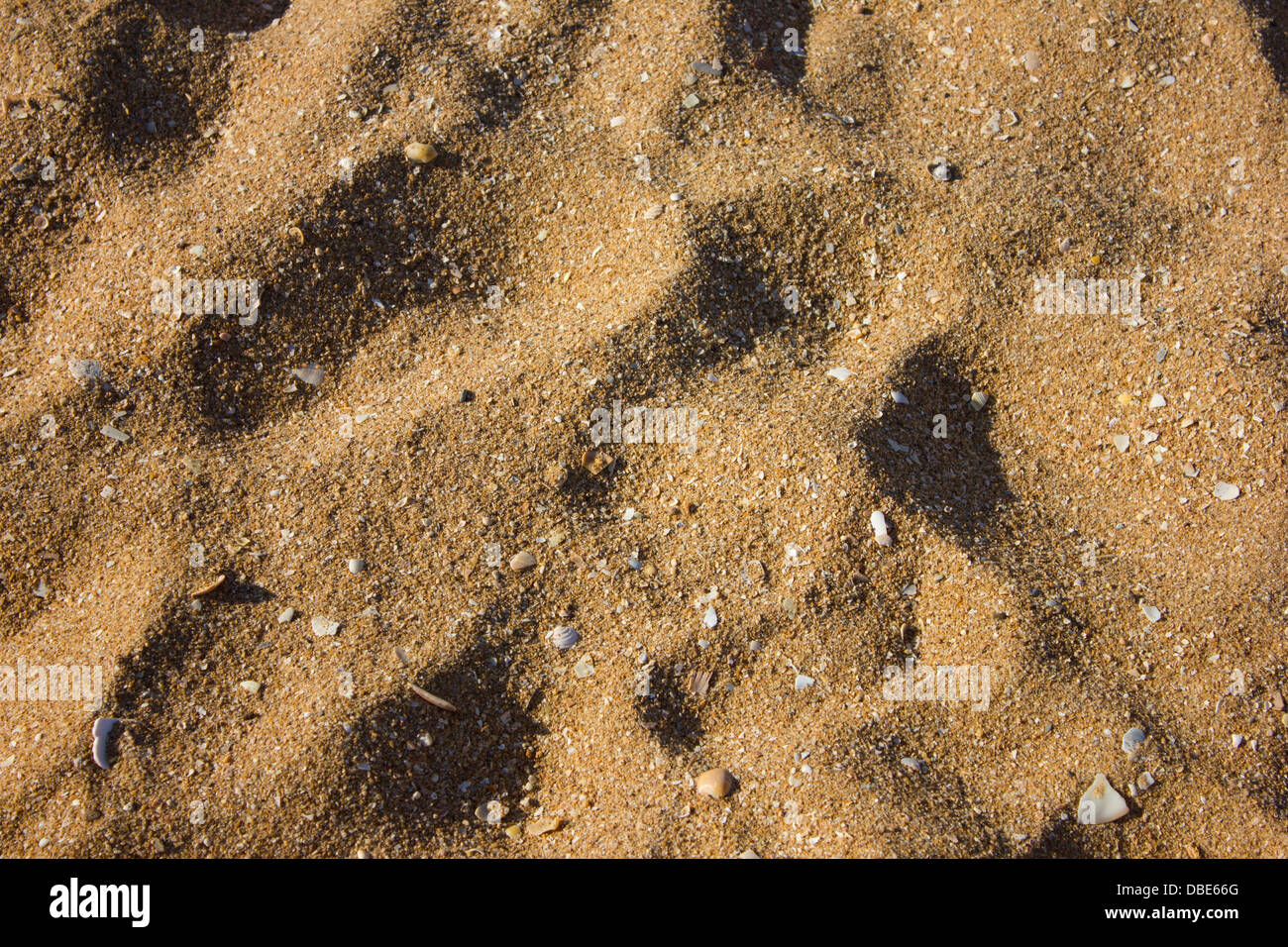 yellow dirty sand in daylight Stock Photo - Alamy