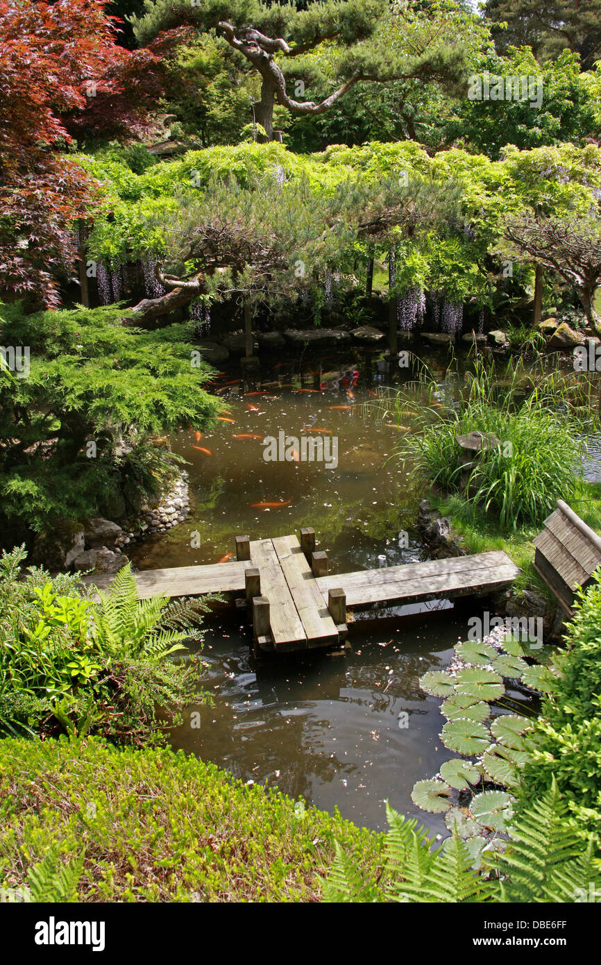 Cottered Japanese Garden And Surround Foylefamily Blog