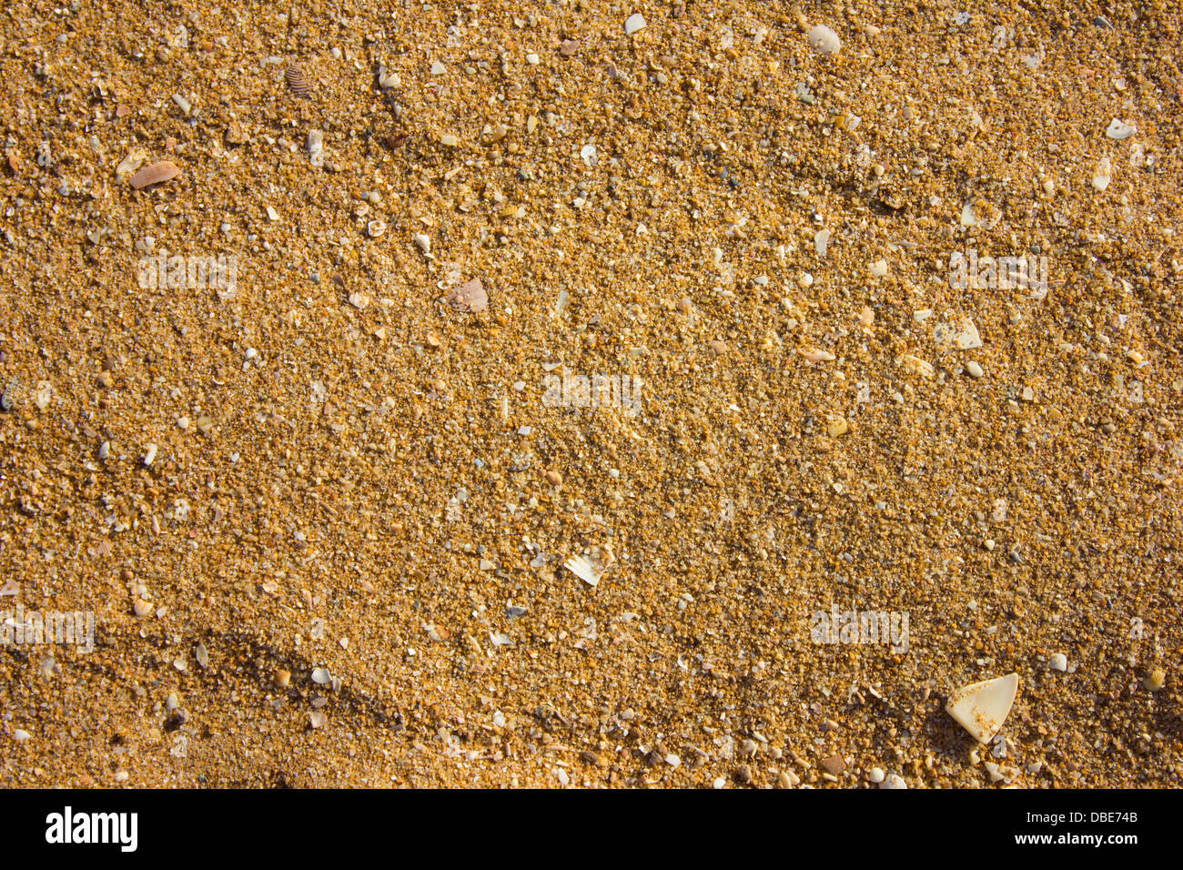yellow dirty sand in daylight Stock Photo - Alamy