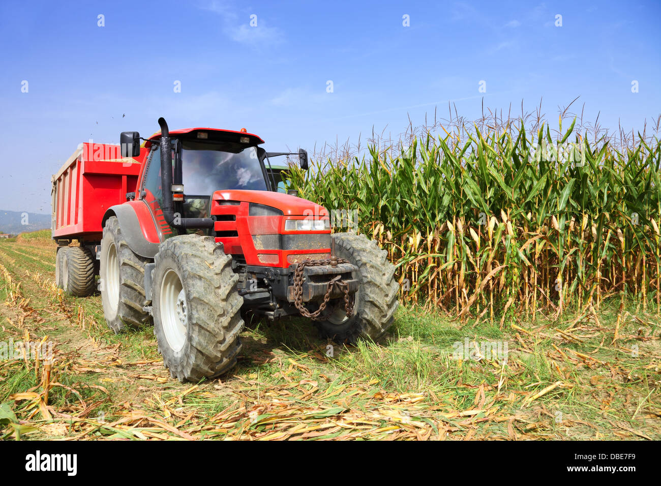 Agriculture, farming tractor Stock Photo