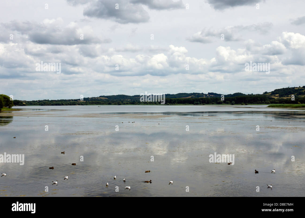 Chew Valley Lake near Bristol Somerset England UK Stock Photo Alamy