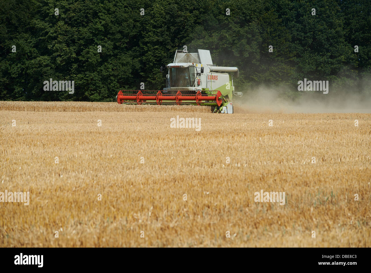 Combine harvester harvesting field of wheat. Summer Stock Photo - Alamy