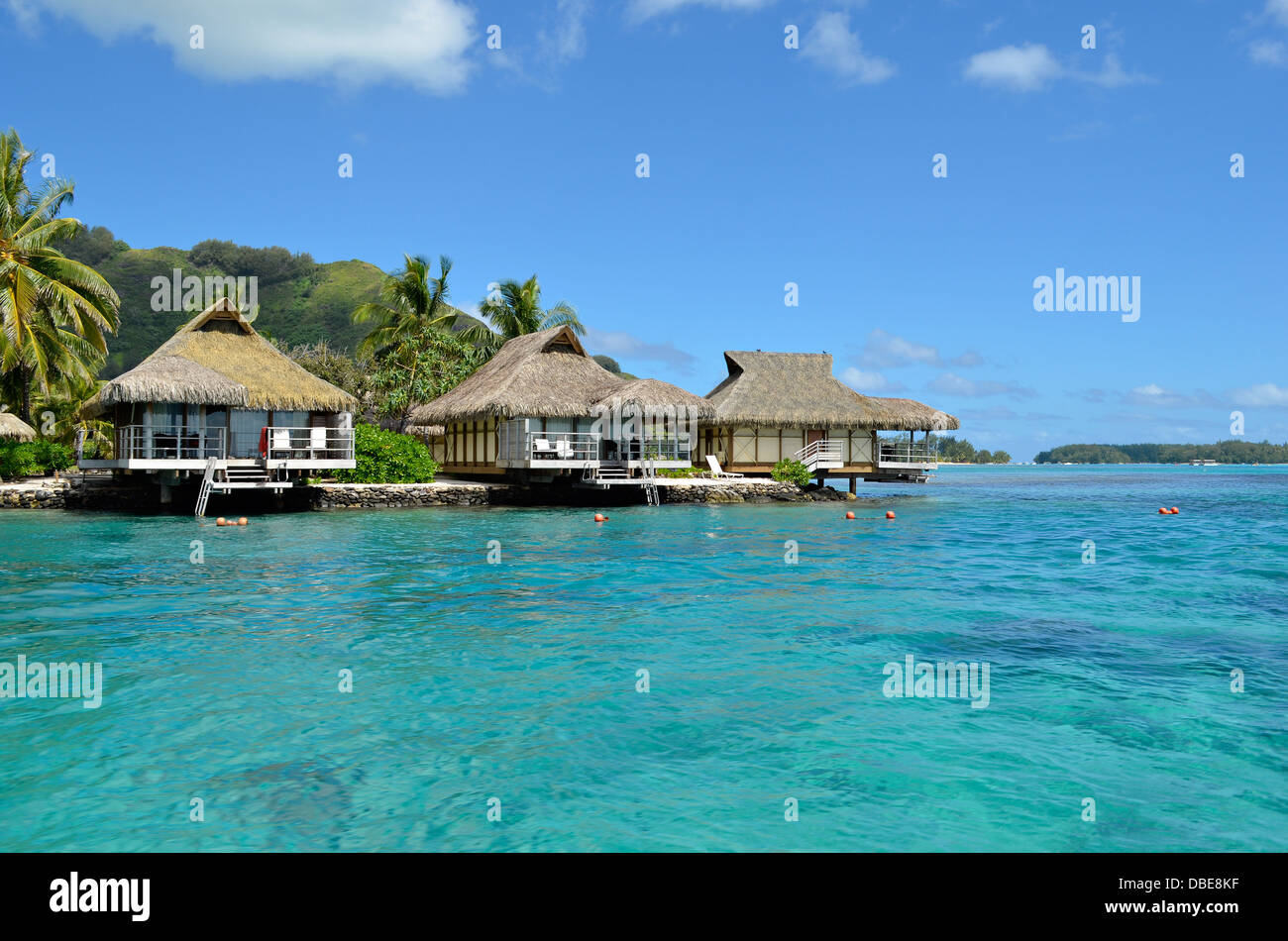 Luxury thatched roof honeymoon bungalows in a vacation resort in the clear blue lagoon of the tropical island of Moorea. Stock Photo