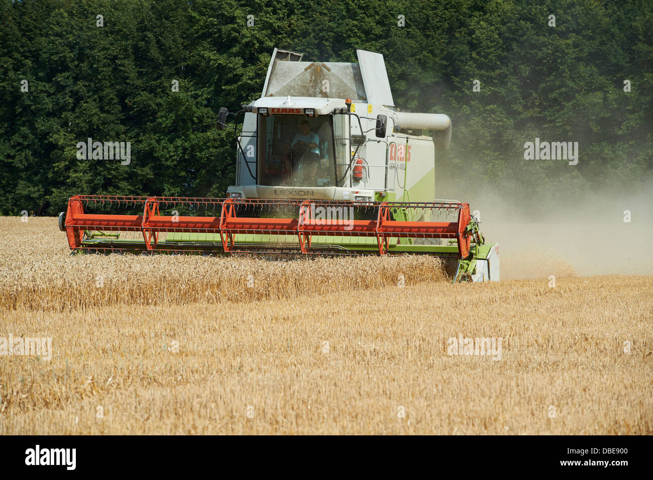 Combine harvester harvesting field of wheat. Summer Stock Photo - Alamy