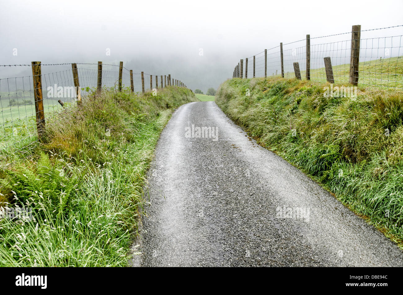 SNOWDONIA NATIONAL PARK, Wales - A small country lane running through the farms on top of a misty plateau in Snowdonia, Wales. Stock Photo