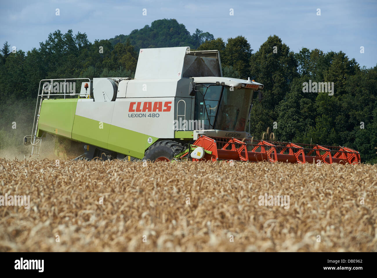Combine harvester harvesting field of wheat. Summer Stock Photo - Alamy
