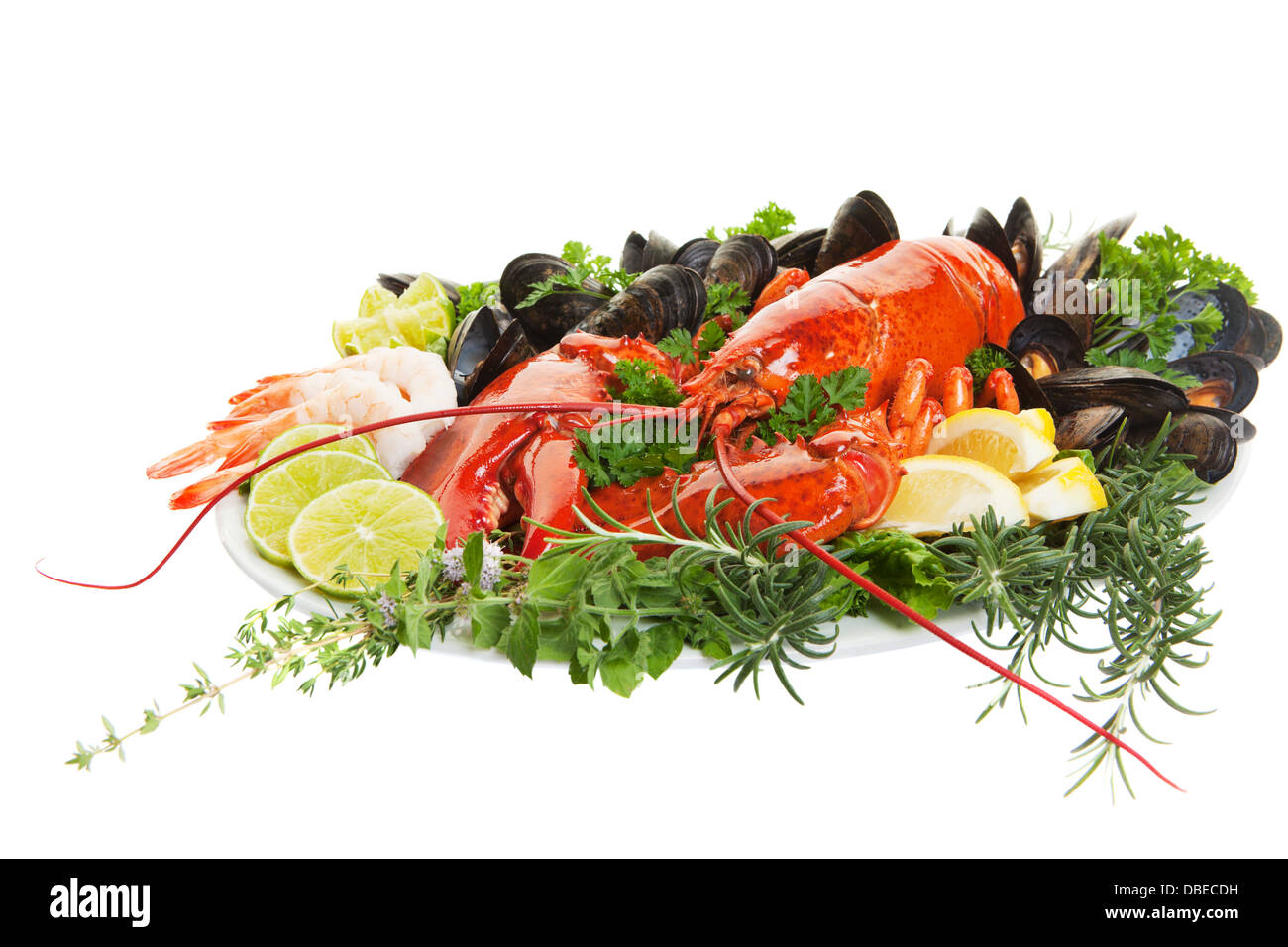 Fresh seafood dish with lobster on a white background Stock Photo