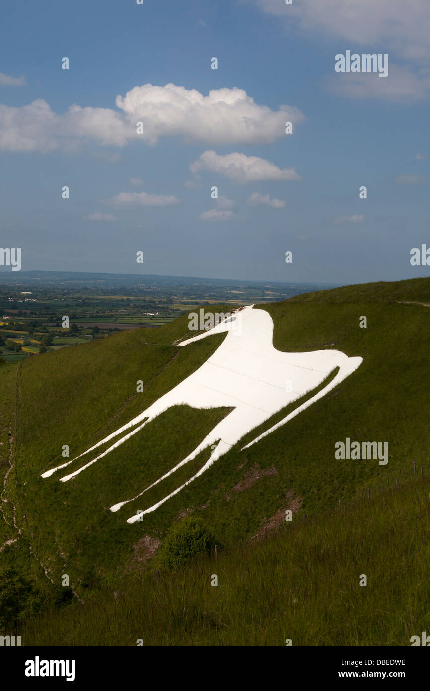 The Westbury White Horse Stock Photo Alamy