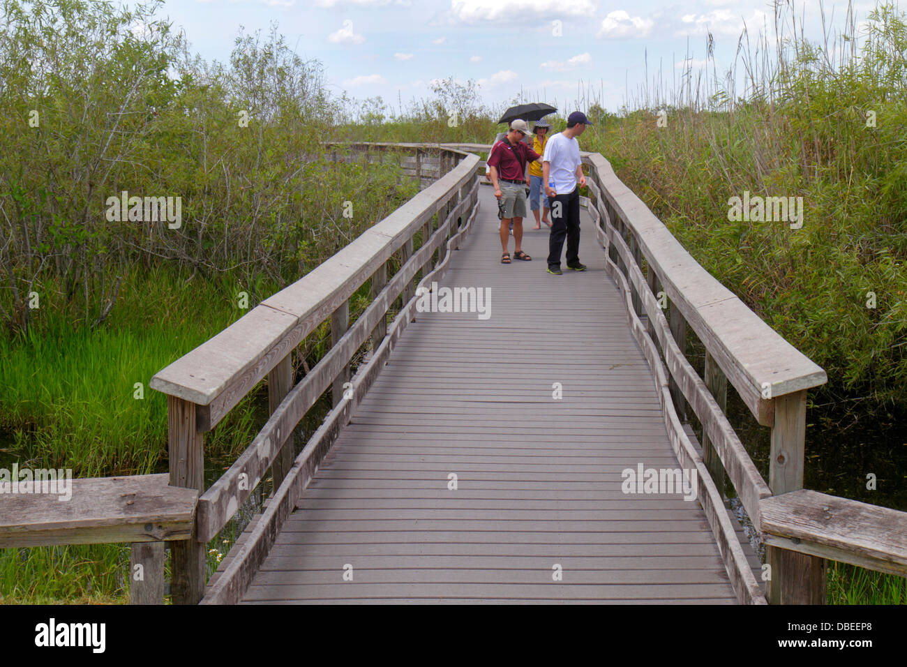 Miami Florida,Everglades National Park,Main Park Road Royal Palm Visitors Center centre,Anhinga Trail hikers Asians man men male adult adults,woman fe Stock Photo