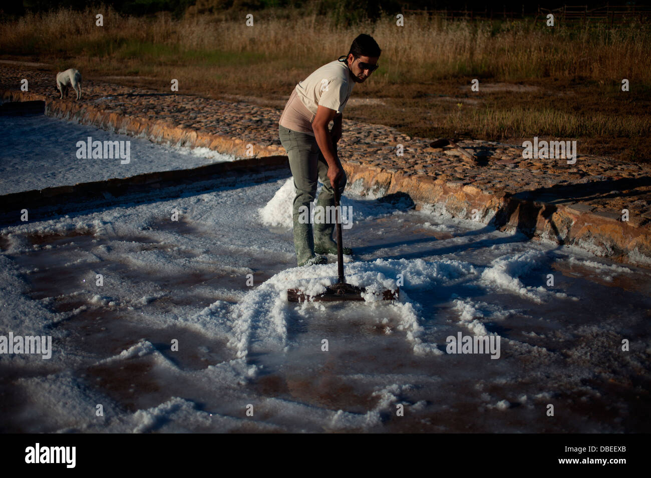 Wooden rake hi-res stock photography and images - Alamy