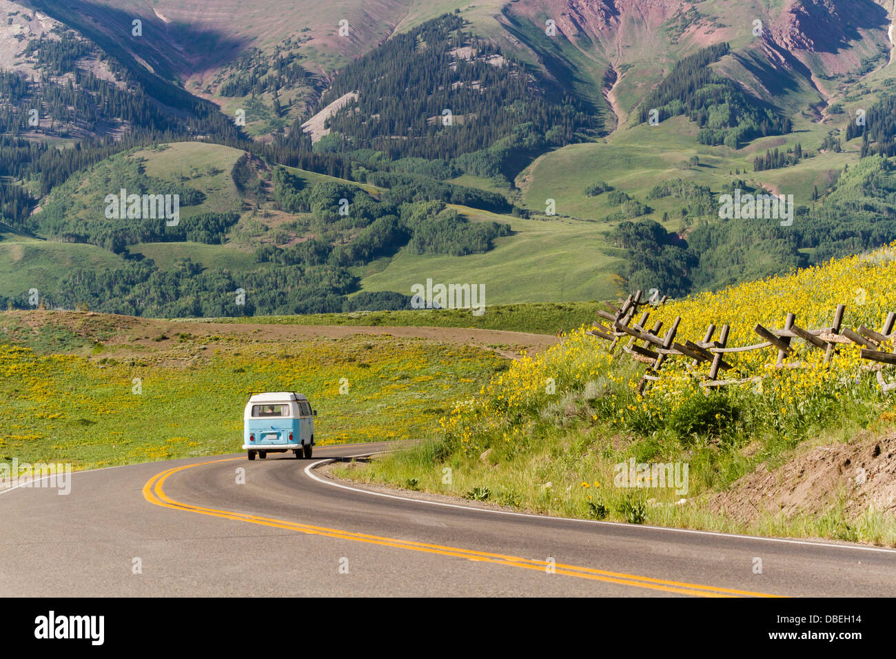 Wildflowers in a full bloom in Crested Butte, Colorado Stock Photo Alamy
