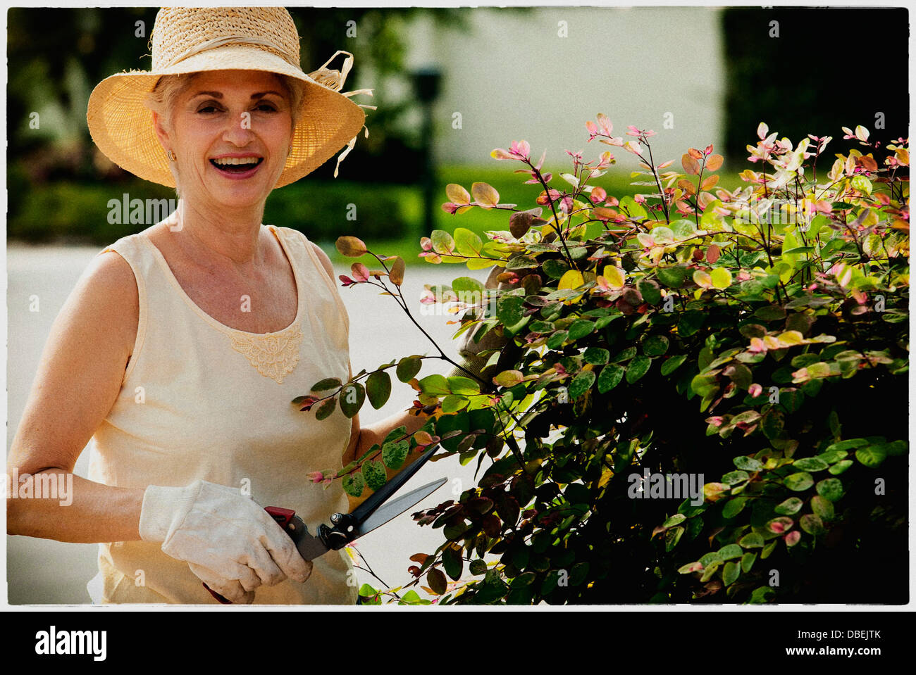 Older woman gardening outdoors - Smartphone Captured Stock Image