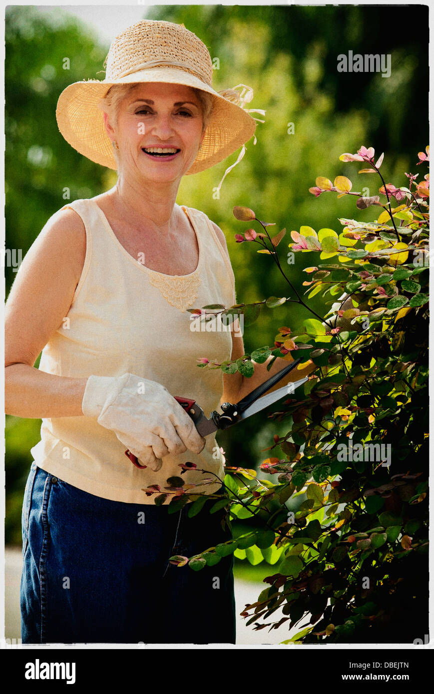 Older woman gardening outdoors - Smartphone Captured Stock Image