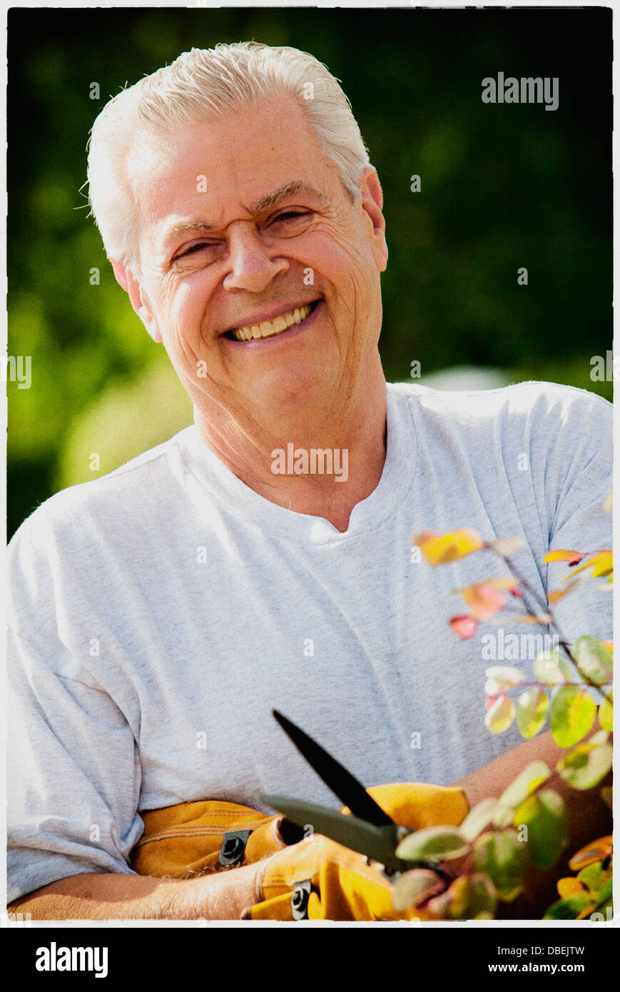 Older man gardening outdoors - Smartphone Captured Stock Image
