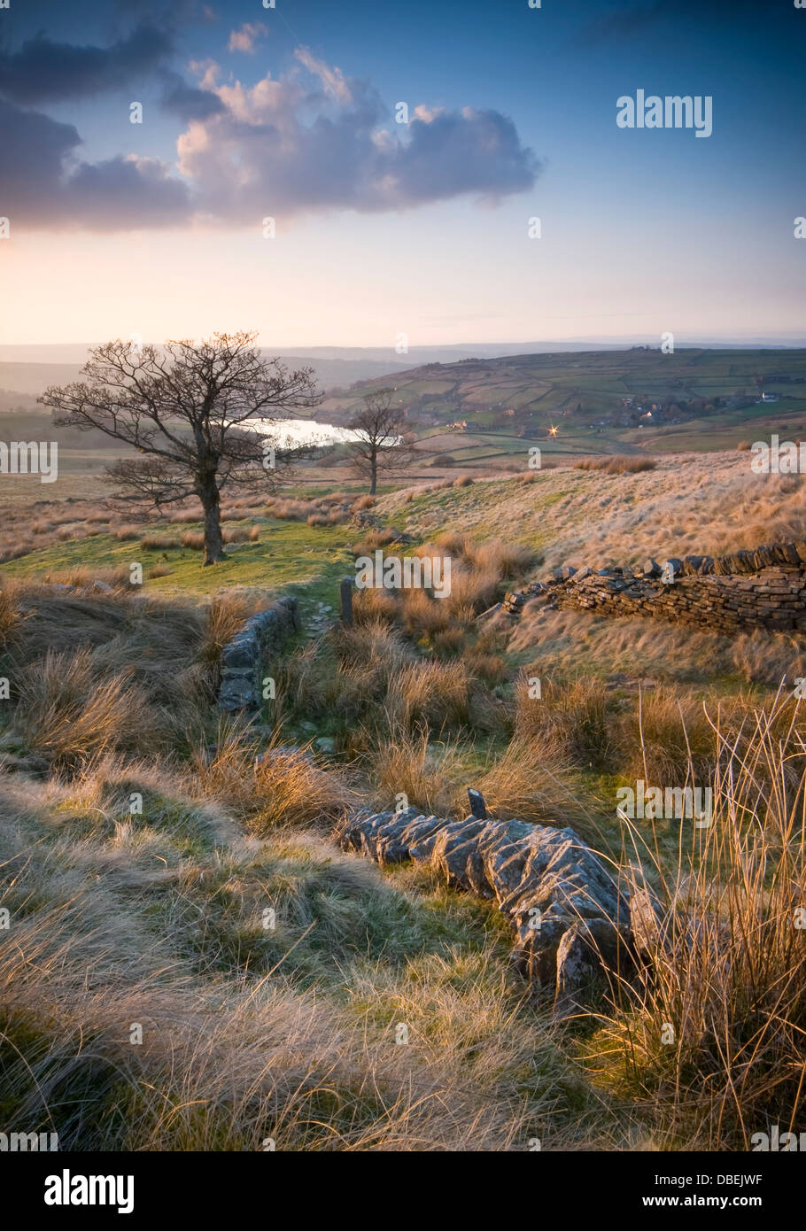 a winding dry stone wall on yorkshire moorland Stock Photo