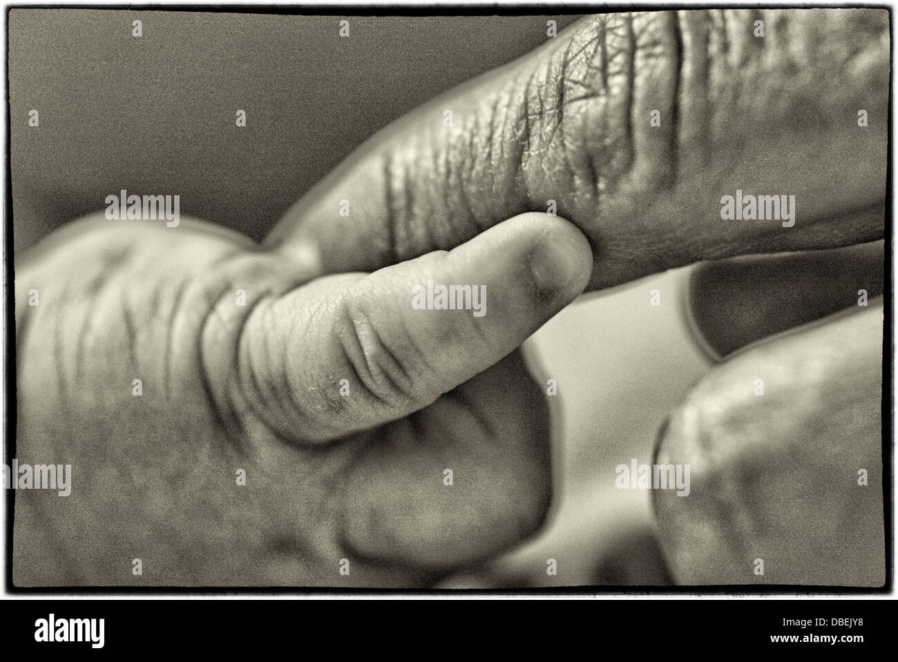 Close up of Hispanic dad holding newborn's hand - Smartphone Captured Stock Image