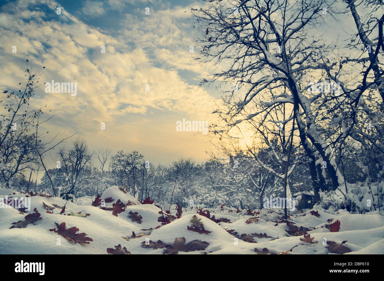 Winter seasonal landscape hi-res stock photography and images - Alamy