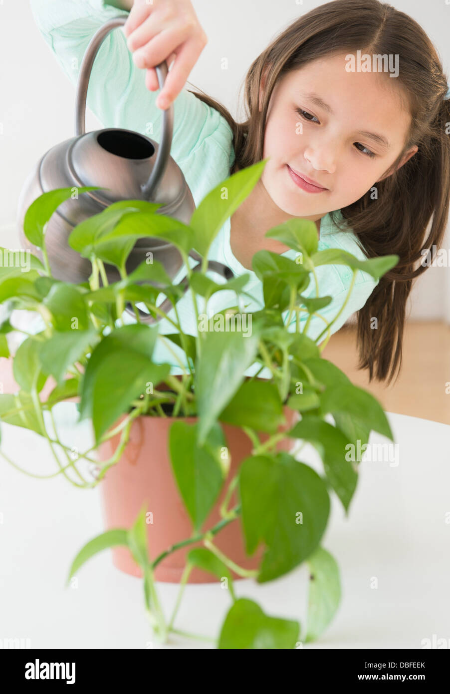 Mixed race girl watering indoor plants Stock Photo