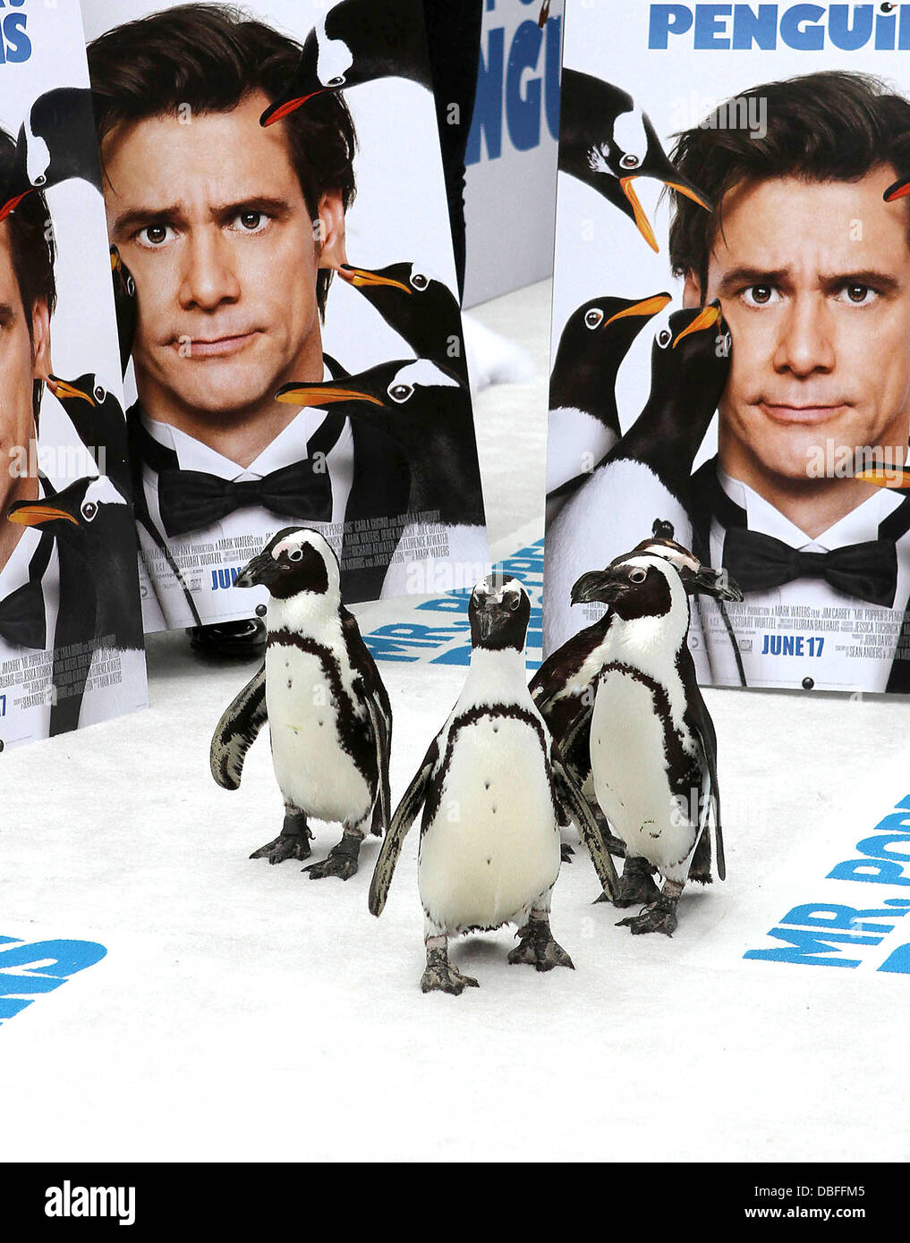 Penguins Premiere 'Mr. Popper's Penguins' shown at the Chinese Grauman