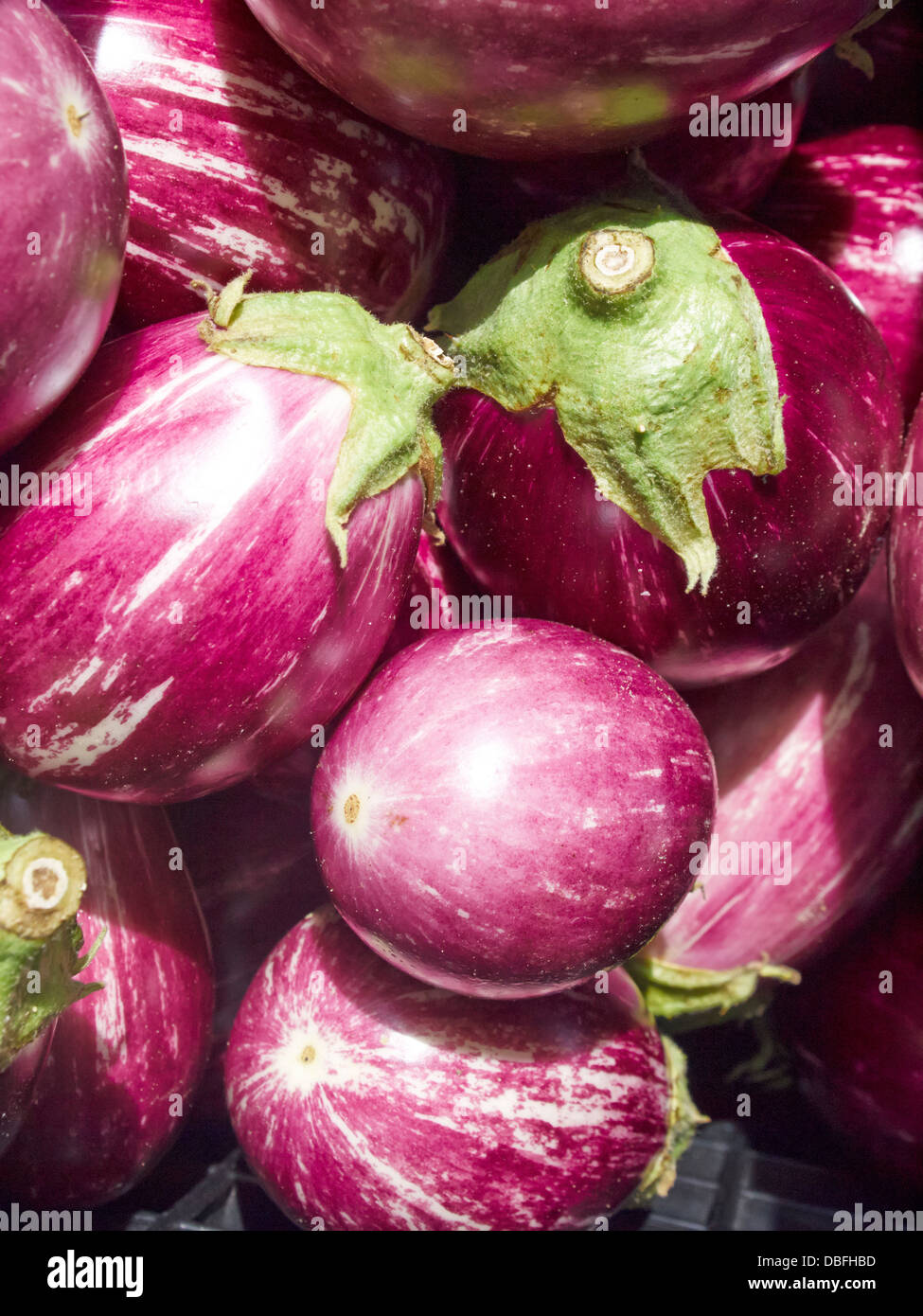 Eggplants hires stock photography and images Alamy