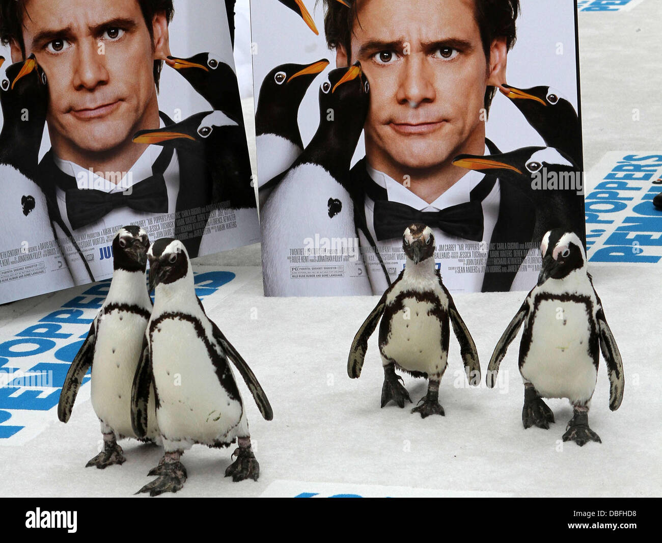 Penguins Premiere 'Mr. Popper's Penguins' shown at the Chinese Grauman's theatre Hollywood, California - 12.06.11 Stock Photo