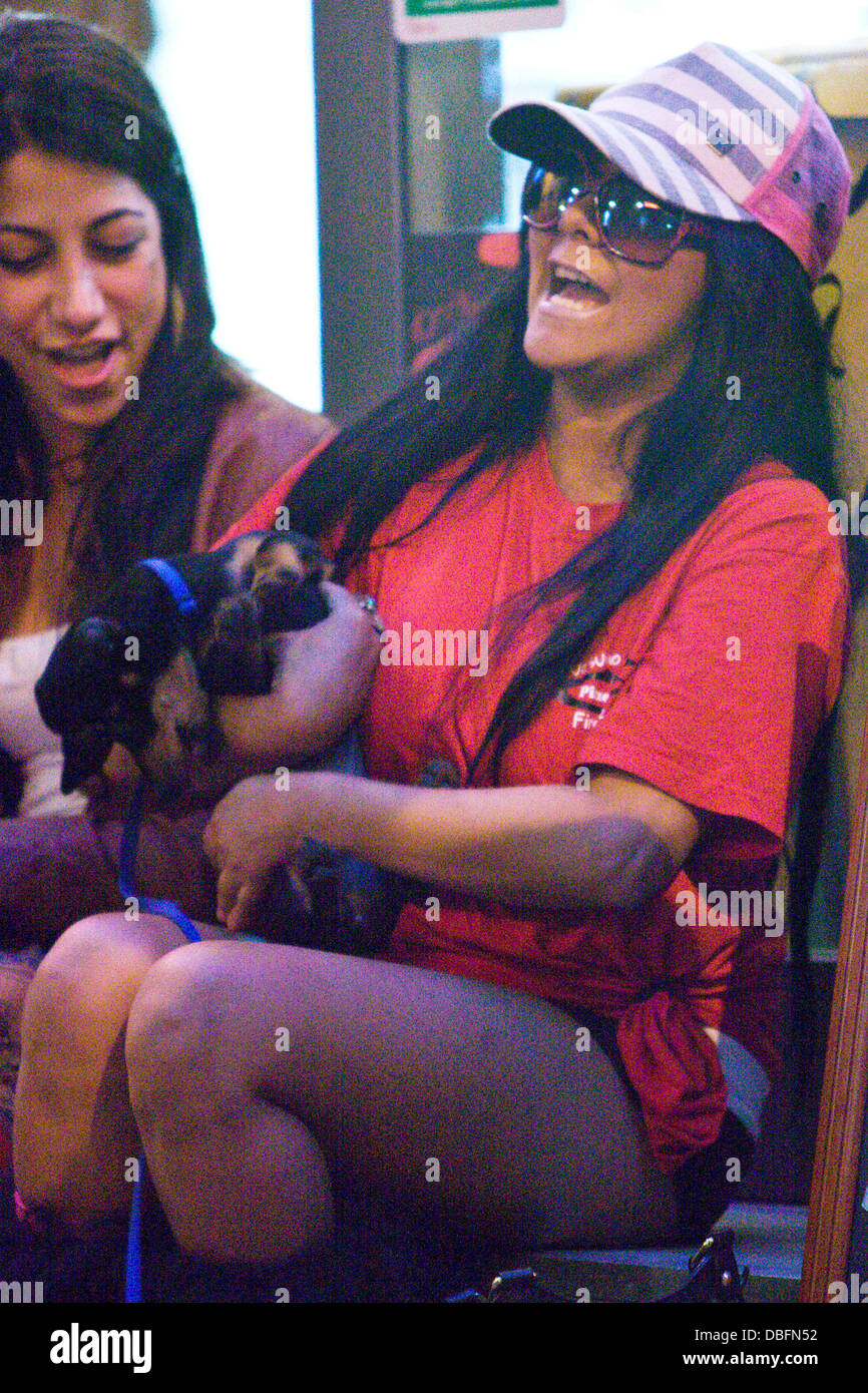 Nicole 'Snooki' Polizzi' Cheeky Nelly the Dog stole Nicole 'Snooki' Polizzi's Pinnochio doll from inside the O' Vesuvio Pizzeria and chewed it and ran around with it before giving the nose a nibble.   Florence, Italy 13.06.11 Stock Photo