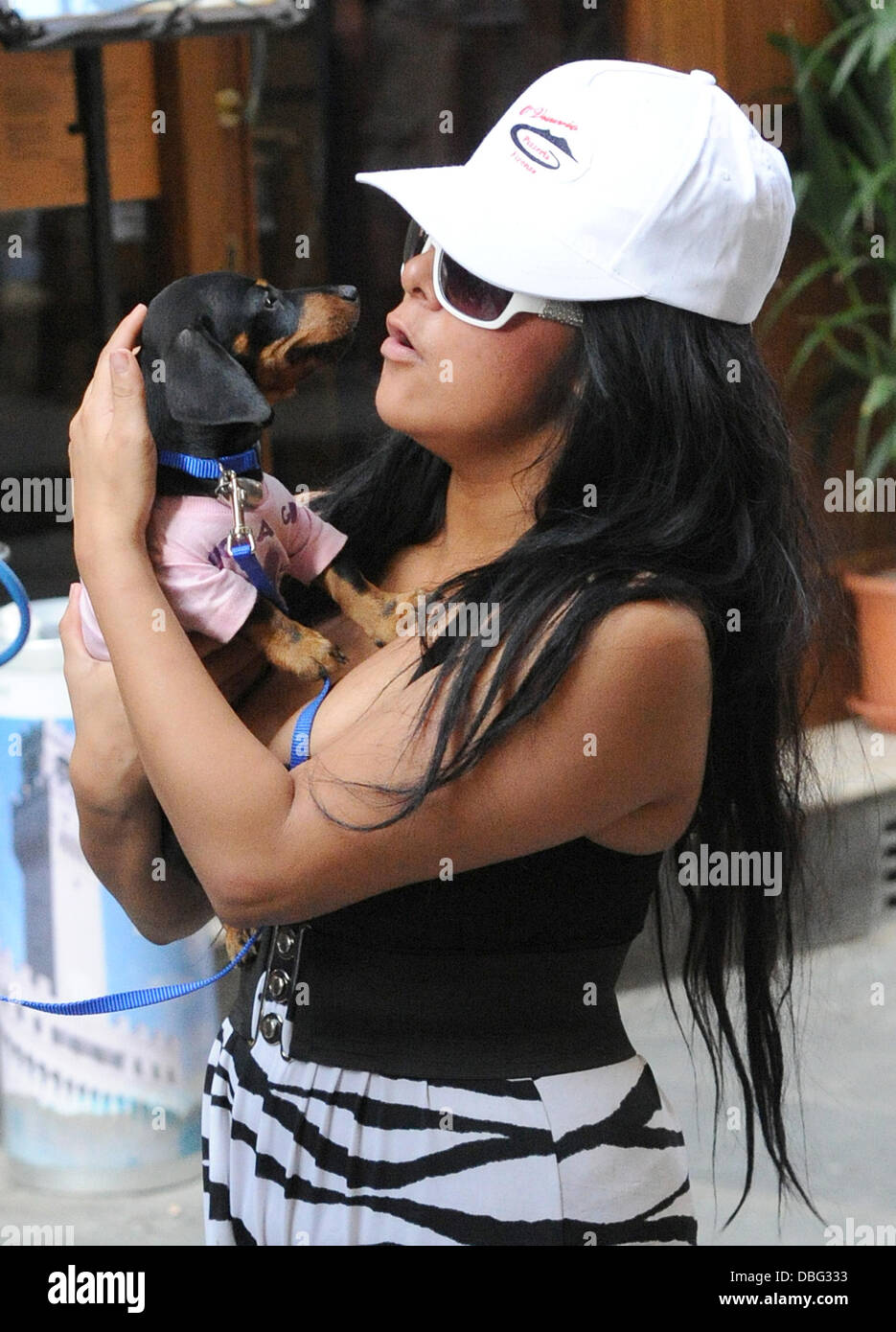 Nelly Rapper Dog Nelly the Dog has become somewhat of a local attraction, having been ...