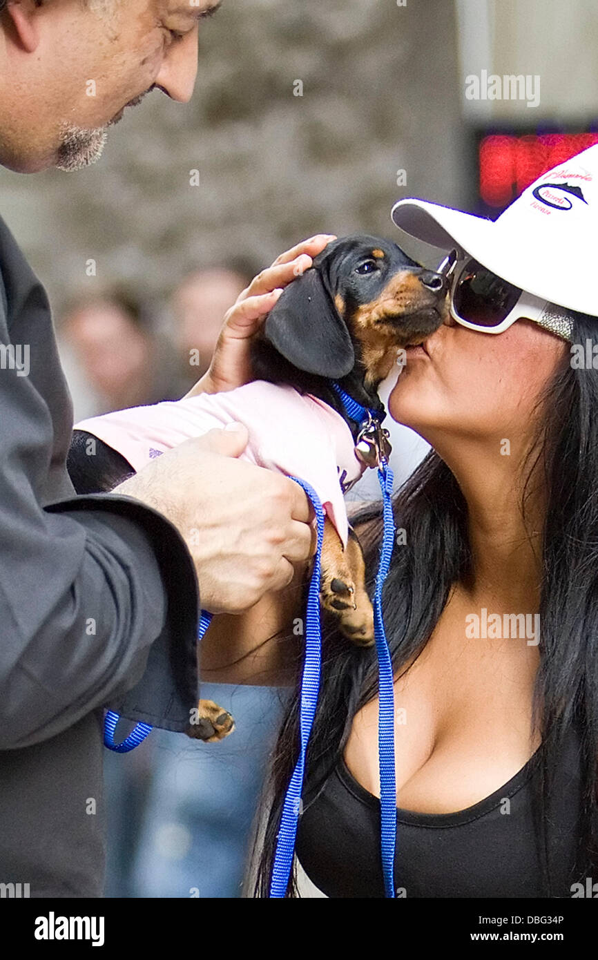Nelly Rapper Dog Nicole