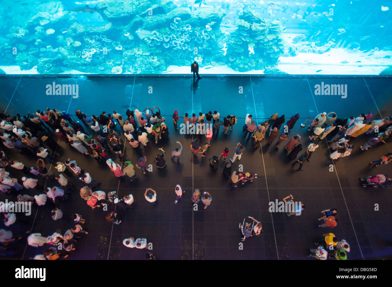 Dubai Aquarium. The Dubai Mall. Stock Photo