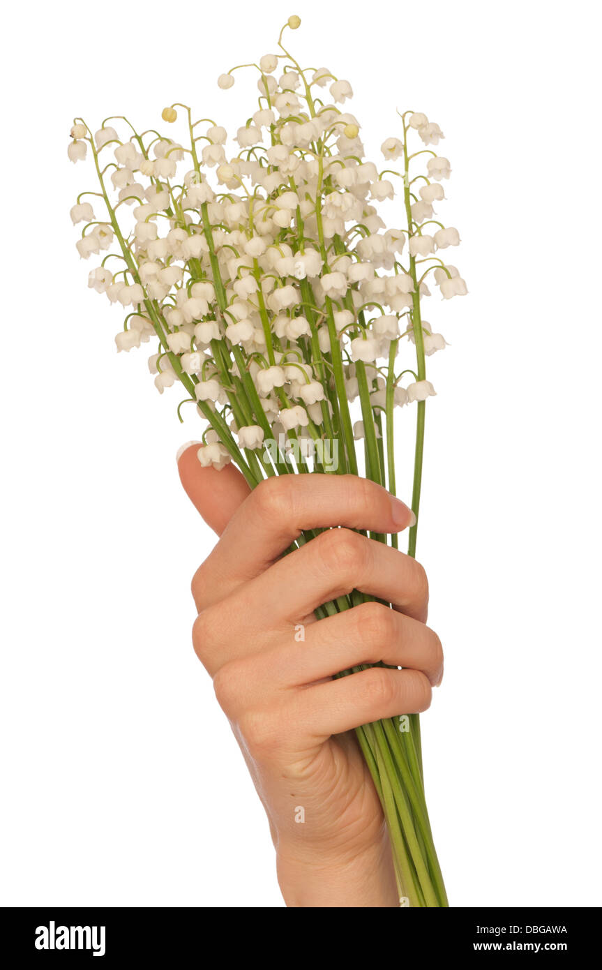 lily of the valley Stock Photo - Alamy