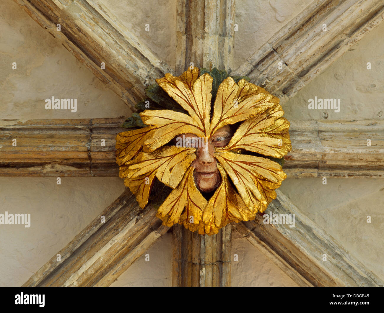 A green man roof boss in the east walk (1297-1318) of Norwich cathedral priory cloisters, Norfolk, England, wearing a woodland mask of may leaves.