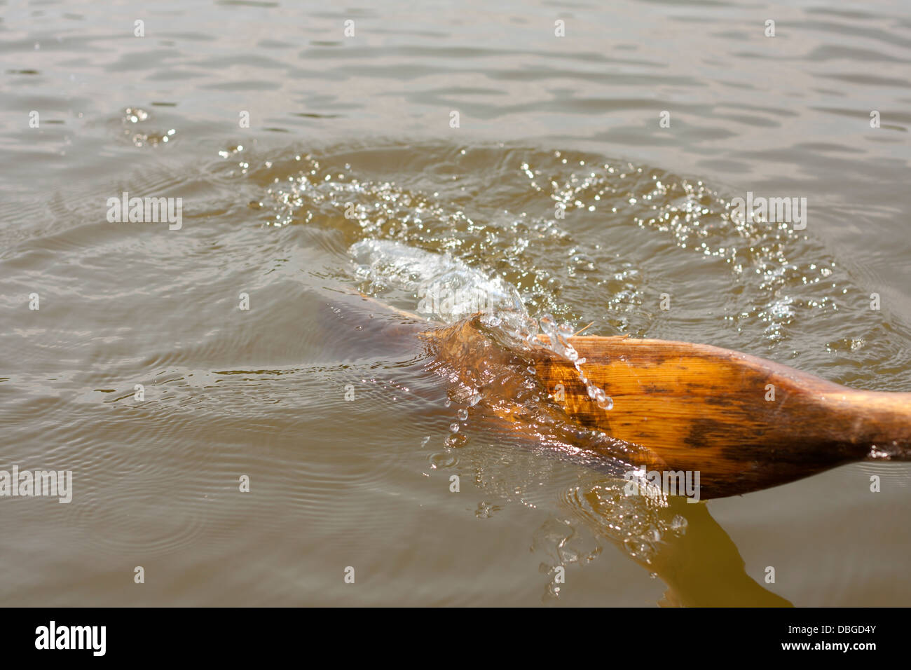 Oar in water from boat marine holiday background concept Stock Photo