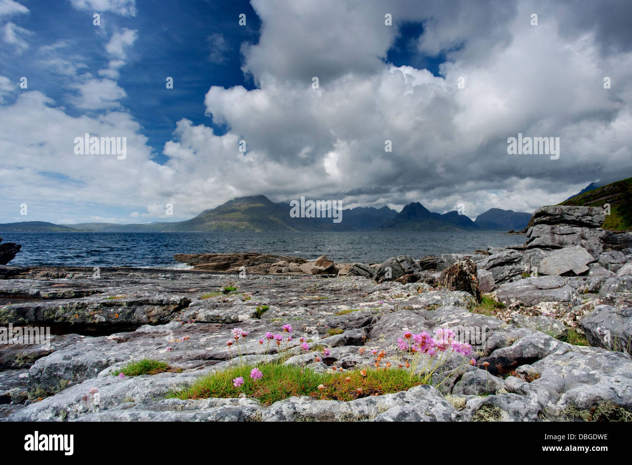 Cullins from Elgol Beach with Thift Isle of Skye, Inner Hebrides Scotland, UK LA006285 Stock Photo