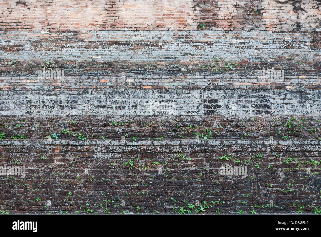 Ancient Stain Brick Wall Texture/ Background. Stock Photo