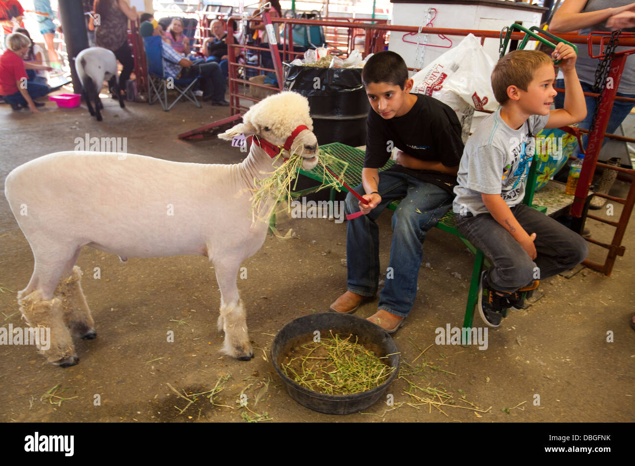 California Mid State Fair, Paso Robles, California, United States of