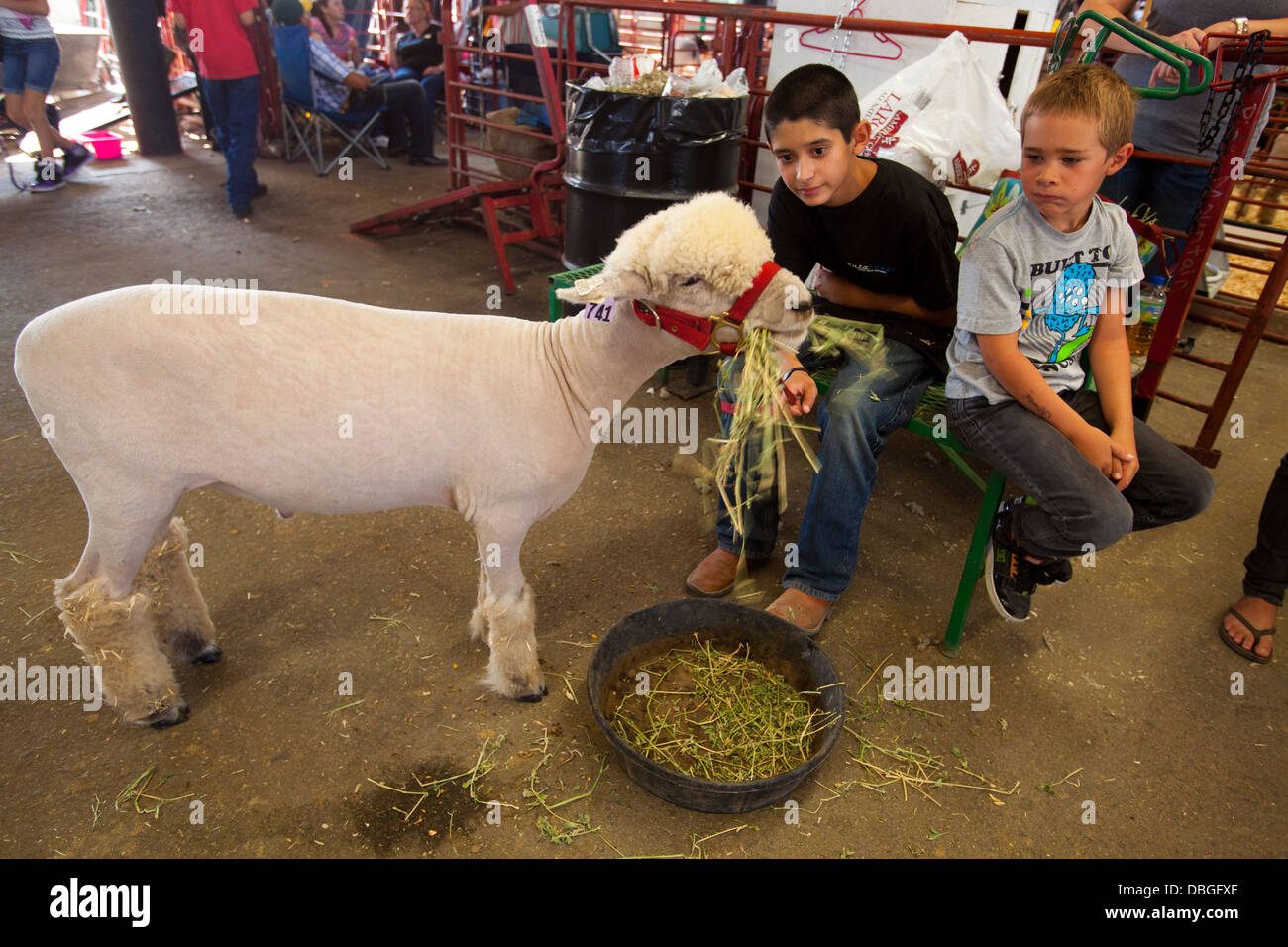 California Mid State Fair, Paso Robles, California, United States of