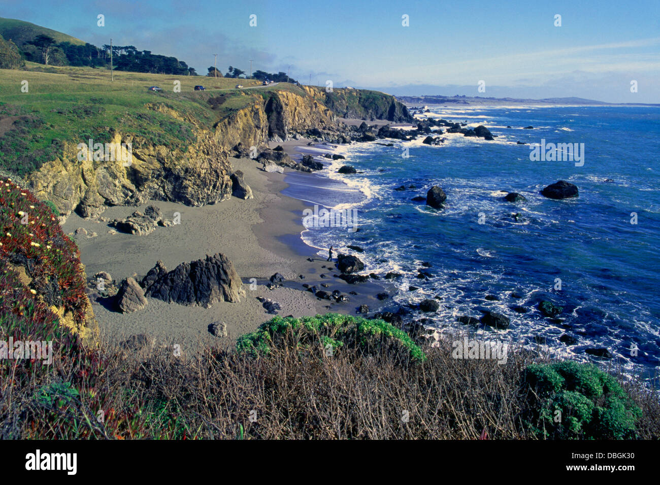 Sonoma Coast State Park near Jenner, California, USA - Rugged Coastline and Beach along Pacific West Coast Stock Photo
