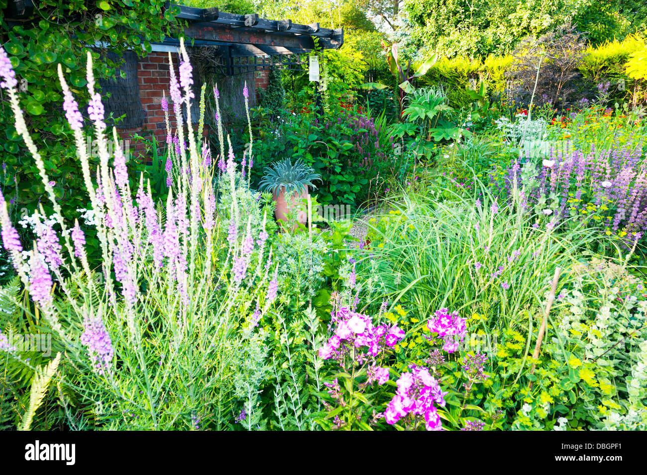 Typical English garden plants flowers planted close various perennials