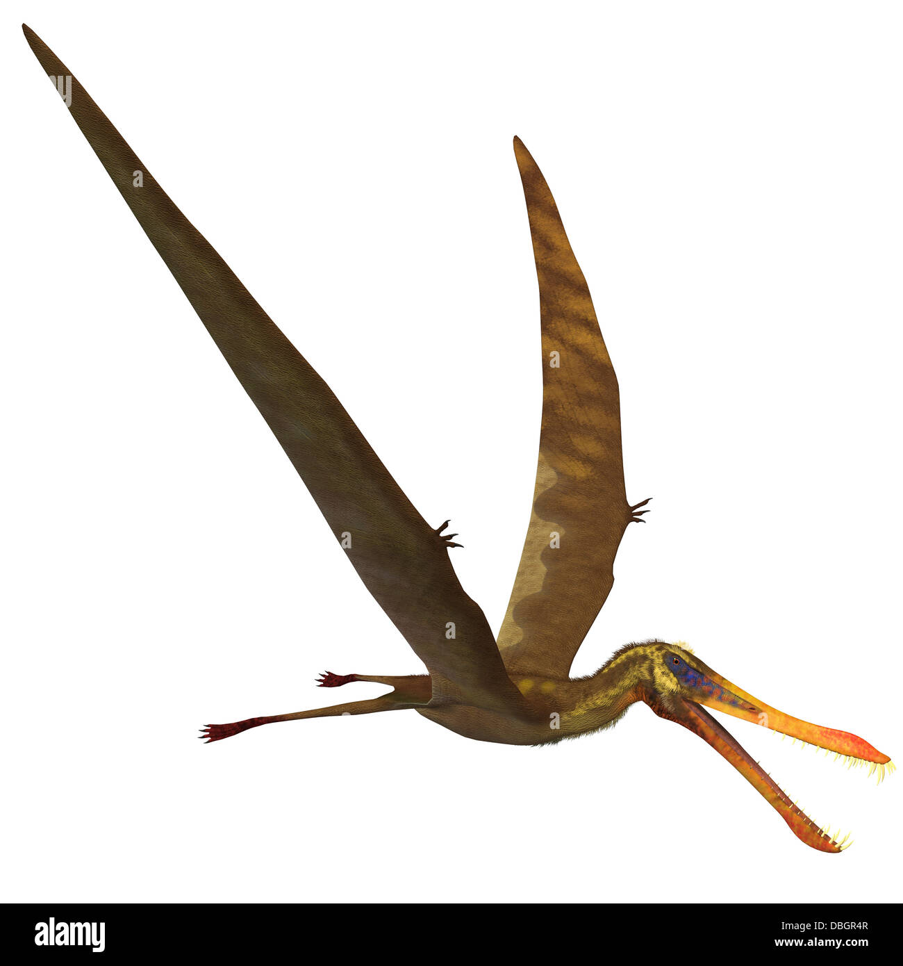 Cearadactylus (frightfull finger). Model of pterodactyl. Stock Photo by  ©troyka 11879305