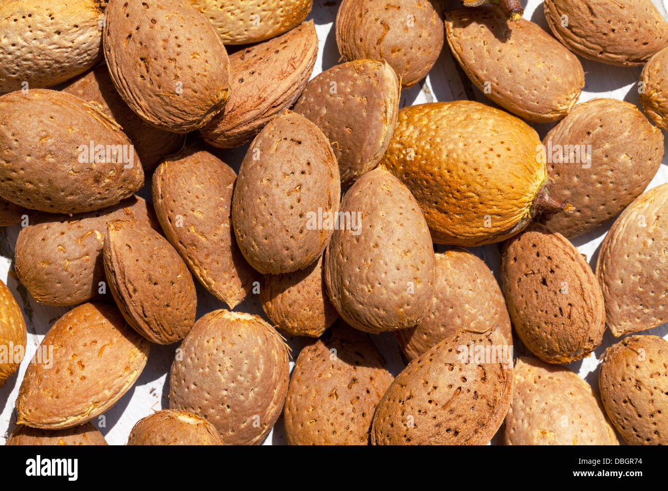Almonds unpeeled nuts on white wooden background, closeup Stock Photo